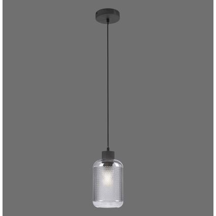 Paul Neuhaus 2006-25 - Підвісна люстра BOLETUS 1xE27/10W/230V діаметр 14 см сірий