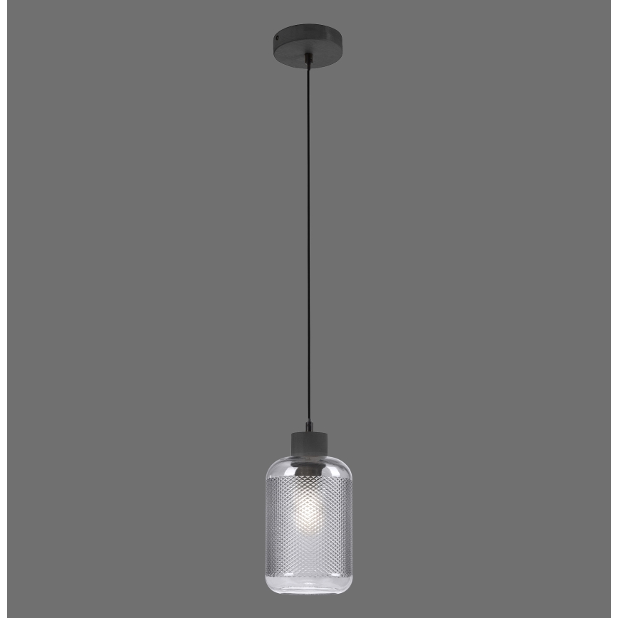 Paul Neuhaus 2006-25 - Підвісна люстра BOLETUS 1xE27/10W/230V діаметр 14 см сірий