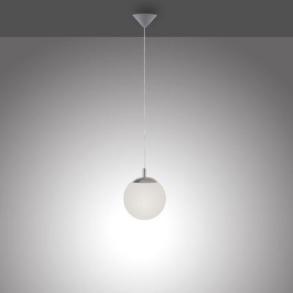 Paul Neuhaus 2072-55 - Подвесная люстра BOLO 1xE27/60W/230V диаметр 20 см