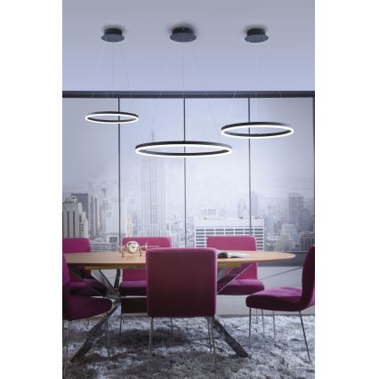Paul Neuhaus 2381-13 - Підвісна LED люстра з регулюванням яскравості TITUS LED/28W/230V