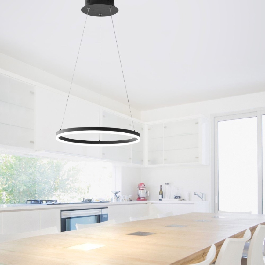 Paul Neuhaus 2381-13 - Підвісна LED люстра з регулюванням яскравості TITUS LED/28W/230V
