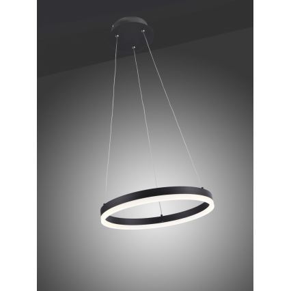 Paul Neuhaus 2381-13 - Підвісна LED люстра з регулюванням яскравості TITUS LED/28W/230V