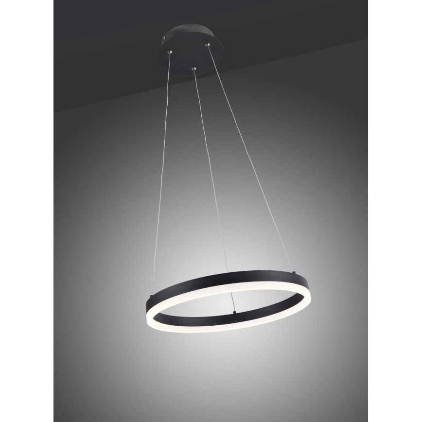 Paul Neuhaus 2381-13 - Підвісна LED люстра з регулюванням яскравості TITUS LED/28W/230V