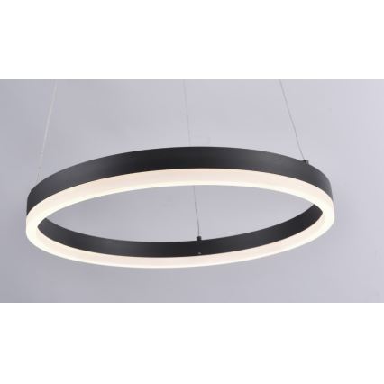 Paul Neuhaus 2381-13 - Підвісна LED люстра з регулюванням яскравості TITUS LED/28W/230V