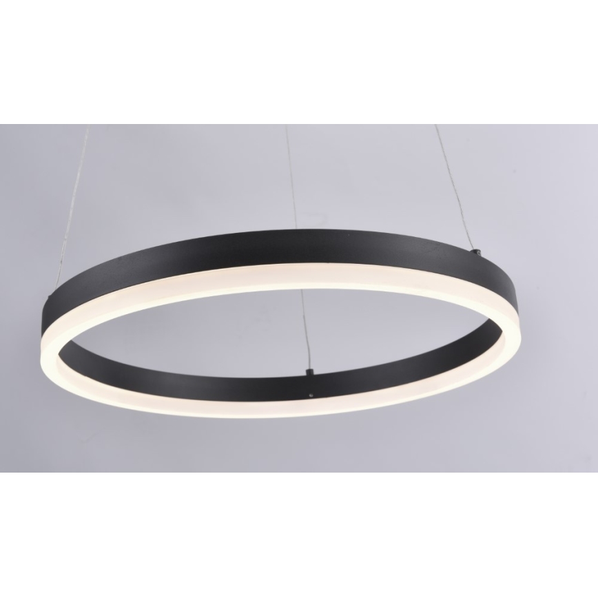 Paul Neuhaus 2381-13 - Підвісна LED люстра з регулюванням яскравості TITUS LED/28W/230V