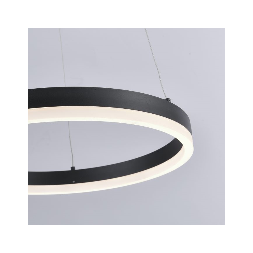Paul Neuhaus 2381-13 - Підвісна LED люстра з регулюванням яскравості TITUS LED/28W/230V