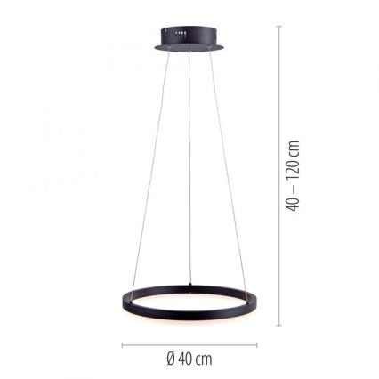Paul Neuhaus 2381-13 - Підвісна LED люстра з регулюванням яскравості TITUS LED/28W/230V
