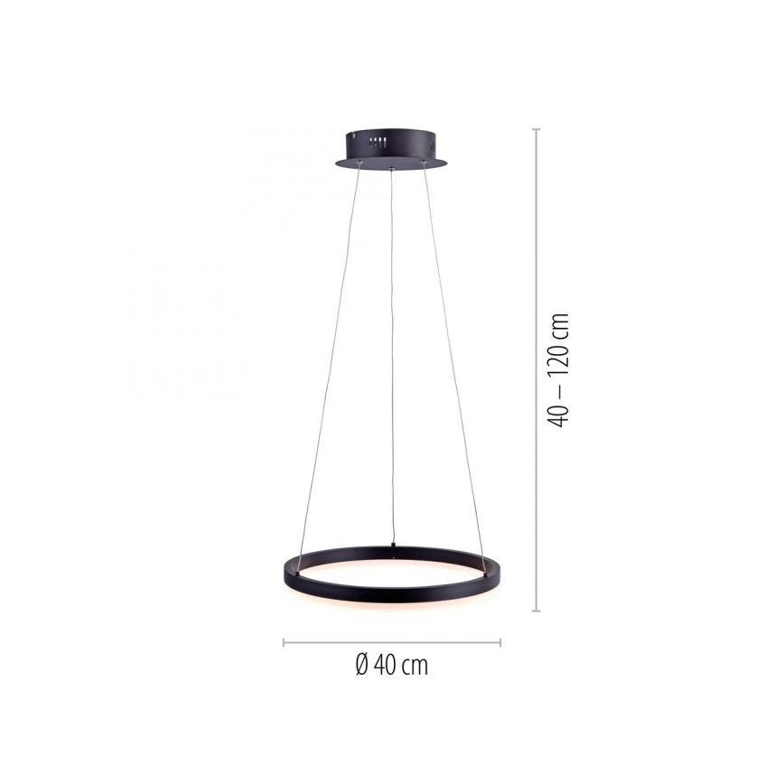 Paul Neuhaus 2381-13 - Підвісна LED люстра з регулюванням яскравості TITUS LED/28W/230V