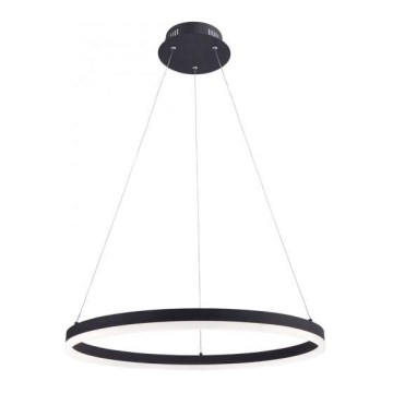 Paul Neuhaus 2382-13 - Підвісна LED люстра з регулюванням яскравості TITUS LED/38,5W/230V