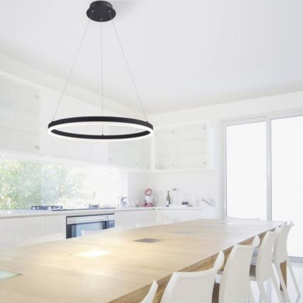 Paul Neuhaus 2382-13 - Підвісна LED люстра з регулюванням яскравості TITUS LED/38,5W/230V