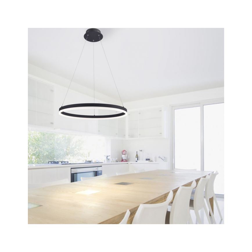 Paul Neuhaus 2382-13 - Підвісна LED люстра з регулюванням яскравості TITUS LED/38,5W/230V