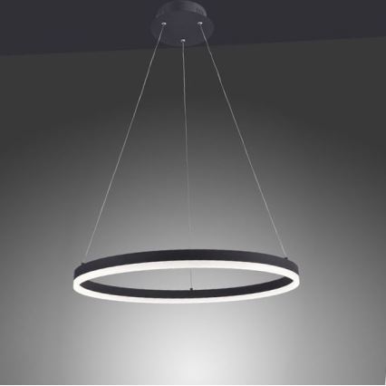 Paul Neuhaus 2382-13 - Підвісна LED люстра з регулюванням яскравості TITUS LED/38,5W/230V