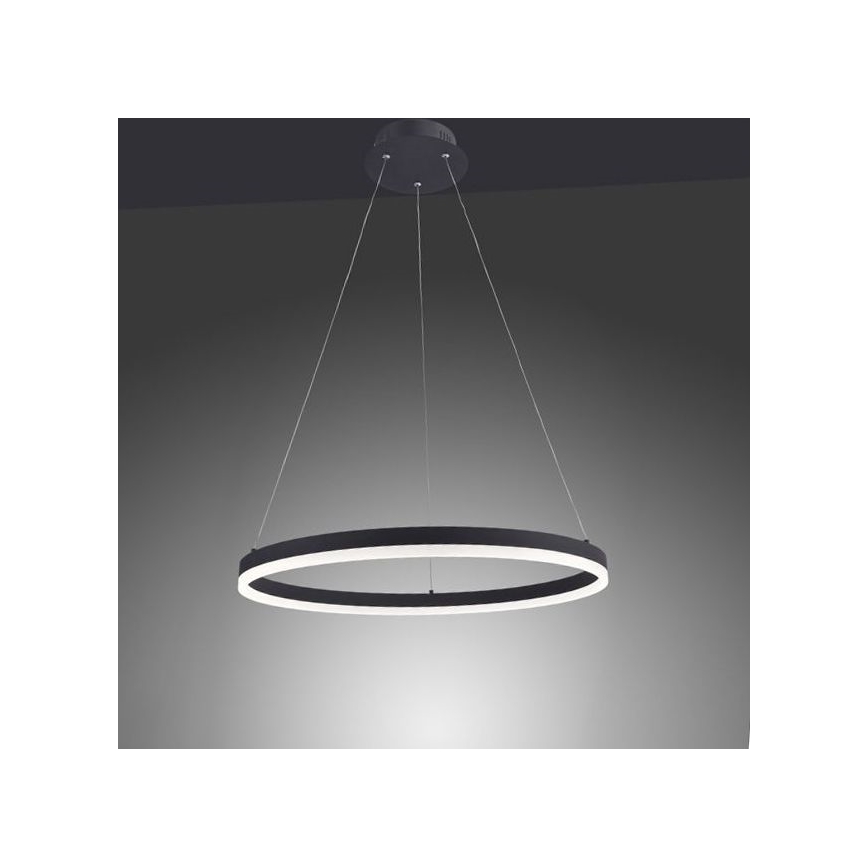 Paul Neuhaus 2382-13 - Підвісна LED люстра з регулюванням яскравості TITUS LED/38,5W/230V