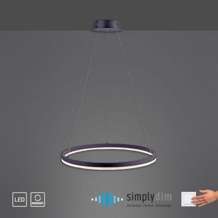 Paul Neuhaus 2382-13 - Підвісна LED люстра з регулюванням яскравості TITUS LED/38,5W/230V