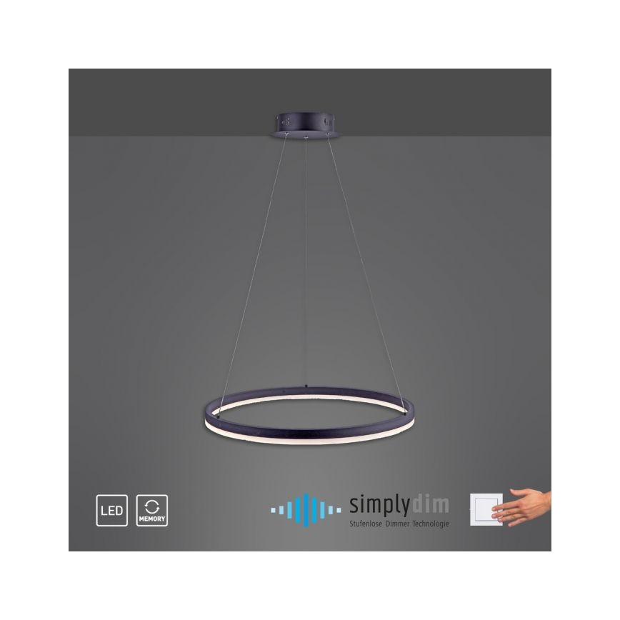 Paul Neuhaus 2382-13 - Підвісна LED люстра з регулюванням яскравості TITUS LED/38,5W/230V
