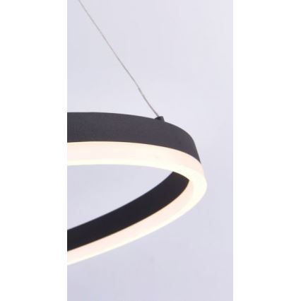 Paul Neuhaus 2382-13 - Підвісна LED люстра з регулюванням яскравості TITUS LED/38,5W/230V