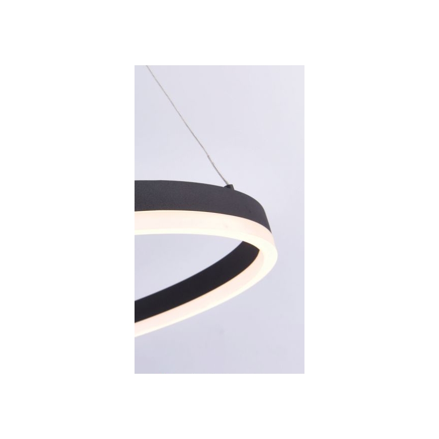 Paul Neuhaus 2382-13 - Підвісна LED люстра з регулюванням яскравості TITUS LED/38,5W/230V