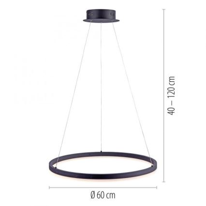 Paul Neuhaus 2382-13 - Підвісна LED люстра з регулюванням яскравості TITUS LED/38,5W/230V