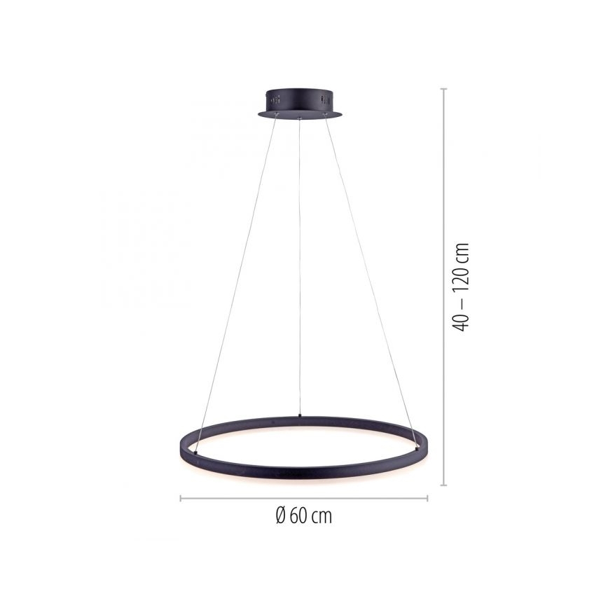 Paul Neuhaus 2382-13 - Підвісна LED люстра з регулюванням яскравості TITUS LED/38,5W/230V