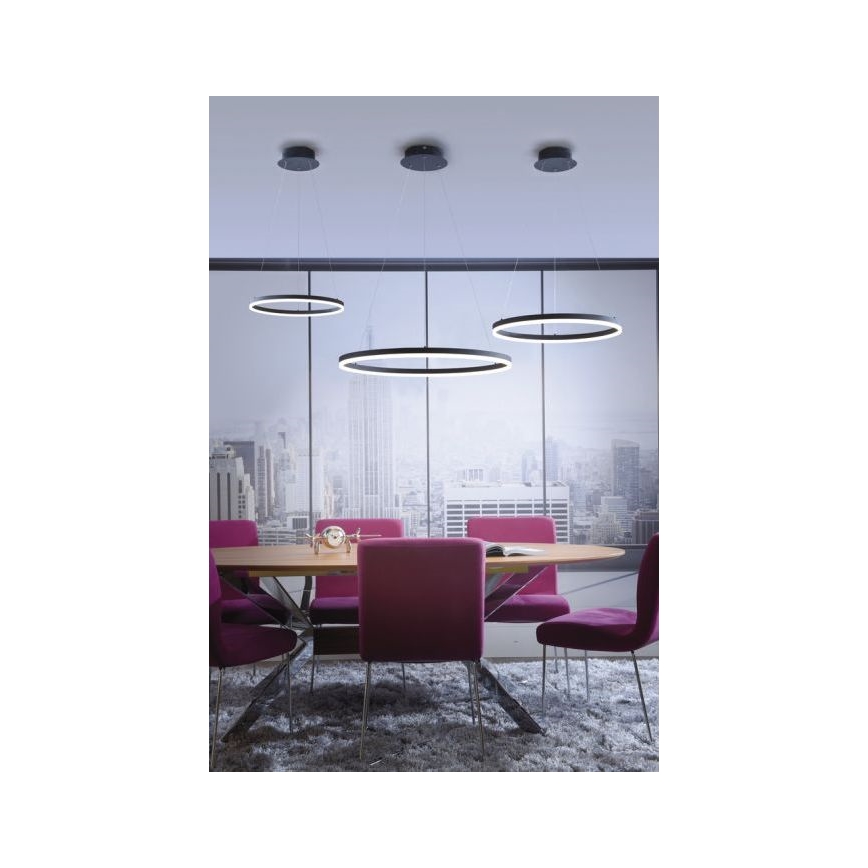 Paul Neuhaus 2382-13 - Светодиодная диммируемая люстра на тросе TITUS LED/38,5W/230V