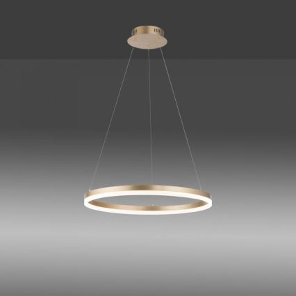 Paul Neuhaus 2382-60 - Світлодіодна підвісна люстра з регулюванням яскравості TITUS LED/38,5W/230V