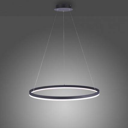 Paul Neuhaus 2383-13 - Підвісна LED люстра з регулюванням яскравості TITUS LED/50W/230V