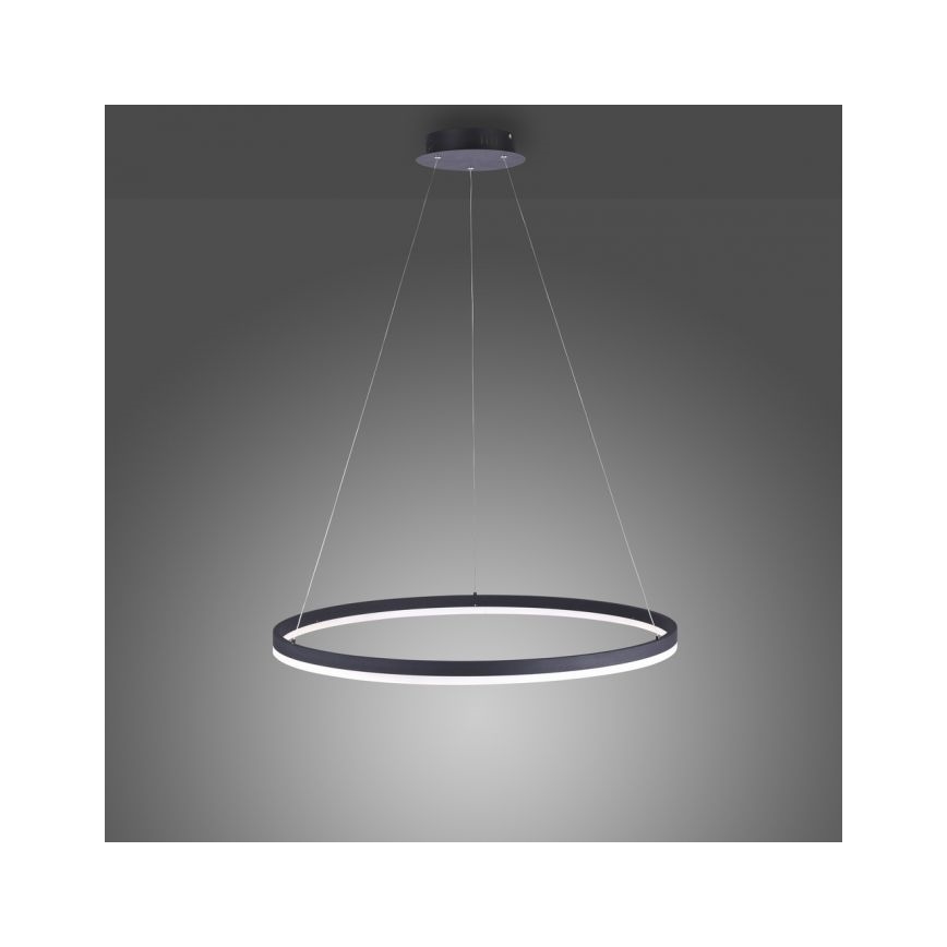 Paul Neuhaus 2383-13 - Підвісна LED люстра з регулюванням яскравості TITUS LED/50W/230V