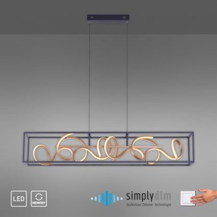 Paul Neuhaus 2416-18 - LED Підвісна люстра з регулюванням яскравості SELINA 4xLED/10,2W/230V