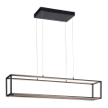 Paul Neuhaus 2441-18 - Светодиодная диммируемая люстра на тросе CONTURA 4xLED/8W/230V