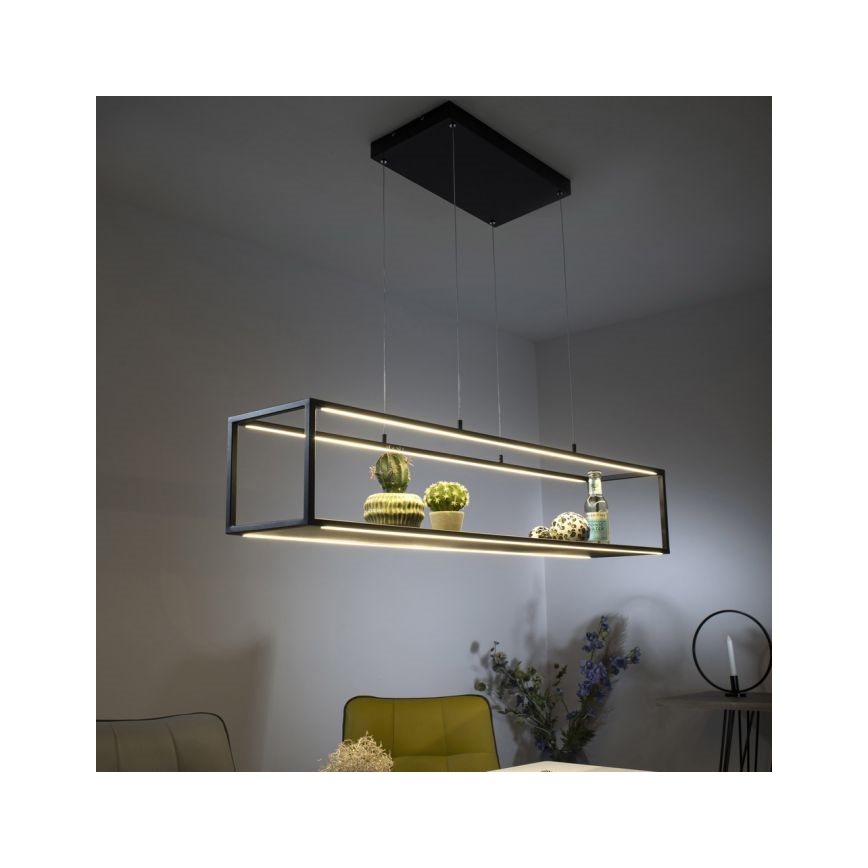Paul Neuhaus 2441-18 - Светодиодная диммируемая люстра на тросе CONTURA 4xLED/8W/230V