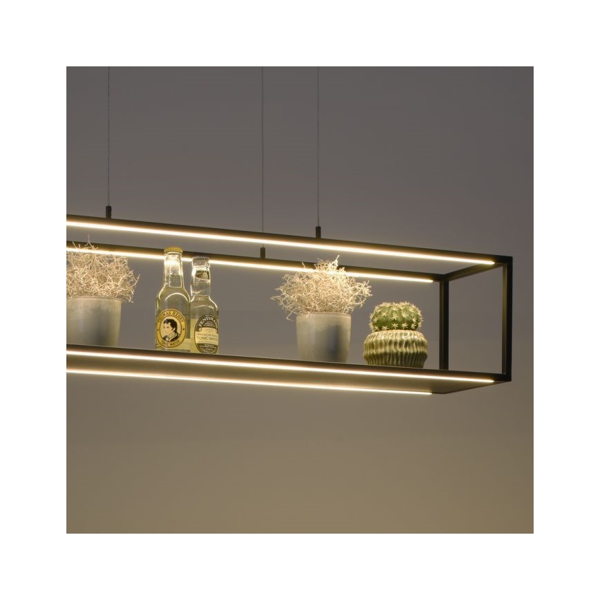 Paul Neuhaus 2441-18 - Светодиодная диммируемая люстра на тросе CONTURA 4xLED/8W/230V