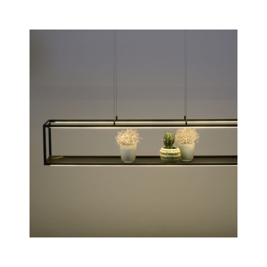 Paul Neuhaus 2441-18 - Светодиодная диммируемая люстра на тросе CONTURA 4xLED/8W/230V