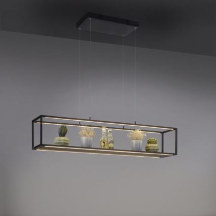 Paul Neuhaus 2441-18 - Светодиодная диммируемая люстра на тросе CONTURA 4xLED/8W/230V