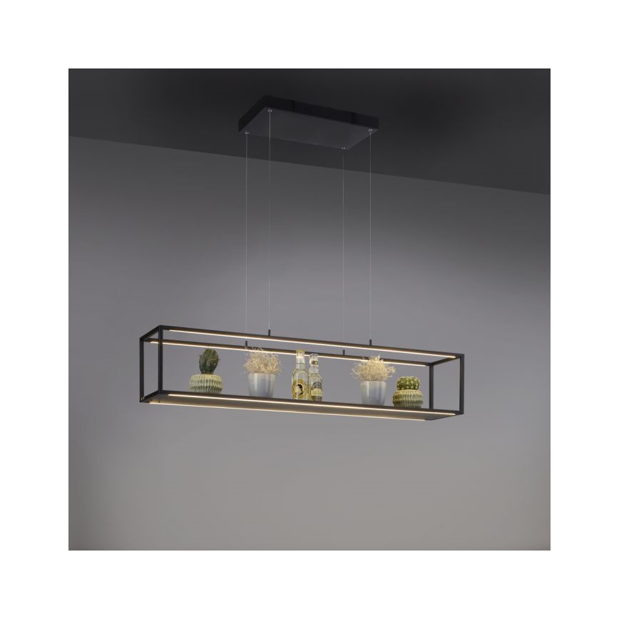 Paul Neuhaus 2441-18 - Светодиодная диммируемая люстра на тросе CONTURA 4xLED/8W/230V