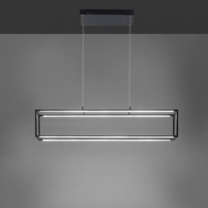 Paul Neuhaus 2441-18 - Светодиодная диммируемая люстра на тросе CONTURA 4xLED/8W/230V