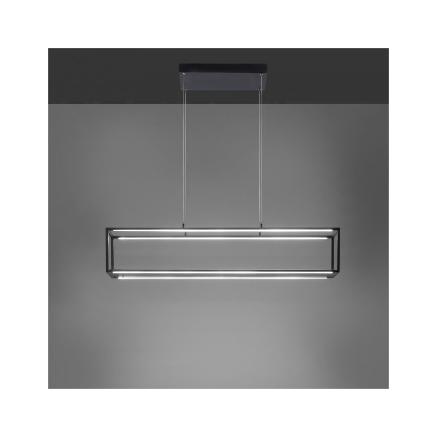 Paul Neuhaus 2441-18 - Светодиодная диммируемая люстра на тросе CONTURA 4xLED/8W/230V