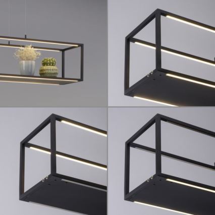 Paul Neuhaus 2441-18 - Светодиодная диммируемая люстра на тросе CONTURA 4xLED/8W/230V