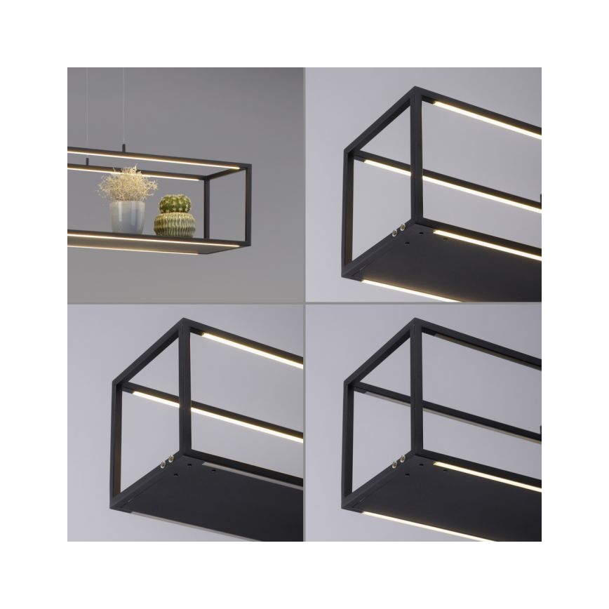 Paul Neuhaus 2441-18 - Светодиодная диммируемая люстра на тросе CONTURA 4xLED/8W/230V