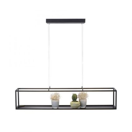 Paul Neuhaus 2441-18 - Светодиодная диммируемая люстра на тросе CONTURA 4xLED/8W/230V