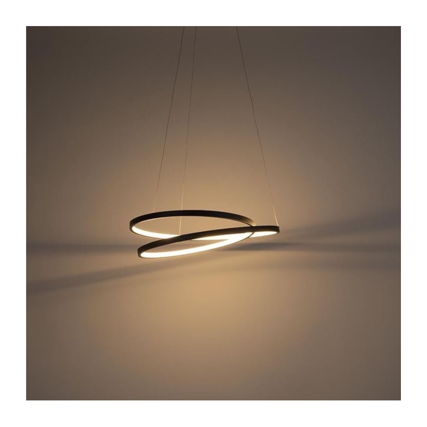 Paul Neuhaus 2472-18 - Підвісна LED люстра з регулюванням яскравості ROMAN LED/30W/230V чорний