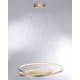 Paul Neuhaus 2474-12 - Светодиодная подвесная люстра с регулированием яркости ROMAN LED/40W/230V золотистый