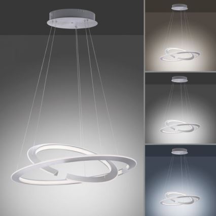 Paul Neuhaus 2491-55 - Підвісна LED люстра з регулюванням яскравості ALESSA 2xLED/26W/230V + ДК