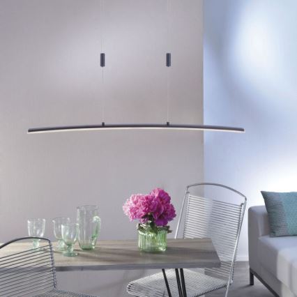 Paul Neuhaus 2530-13 - Підвісна LED люстра з регулюванням яскравості JANINA LED/27W/230V