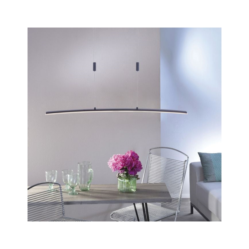 Paul Neuhaus 2530-13 - Підвісна LED люстра з регулюванням яскравості JANINA LED/27W/230V