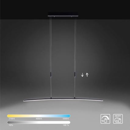 Paul Neuhaus 2530-13 - Підвісна LED люстра з регулюванням яскравості JANINA LED/27W/230V