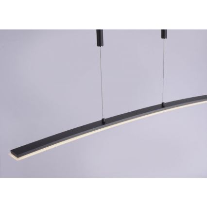 Paul Neuhaus 2530-13 - Підвісна LED люстра з регулюванням яскравості JANINA LED/27W/230V