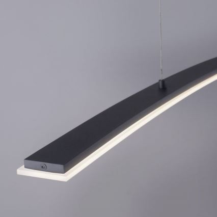 Paul Neuhaus 2530-13 - Підвісна LED люстра з регулюванням яскравості JANINA LED/27W/230V