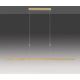 Paul Neuhaus 2568-60 - Светодиодная подвесная люстра с регулированием яркости ADRIANA LED/14W/230V  2700-5000K латунь