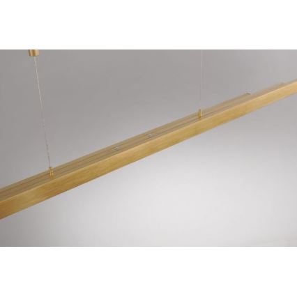 Paul Neuhaus 2568-60 - Світлодіодна підвісна люстра з регулюванням яскравості ADRIANA LED/14W/230V  2700-5000K латунь