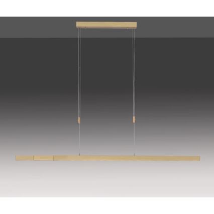 Paul Neuhaus 2568-60 - Світлодіодна підвісна люстра з регулюванням яскравості ADRIANA LED/14W/230V  2700-5000K латунь